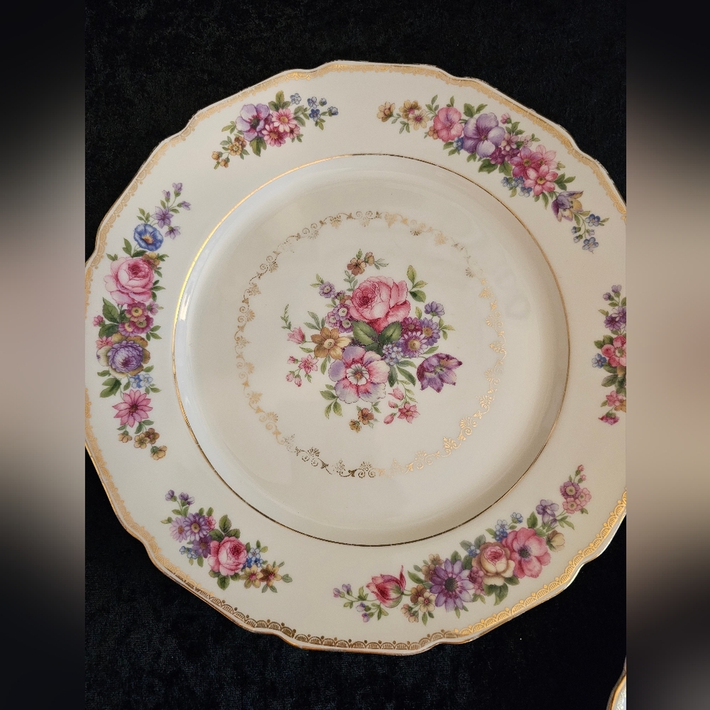 Set Of 4, Gorgeous Sylvia - Thomas Ivory Bavaria Dinner Plates - Picture 4 of 9